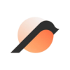 BIRDS logo