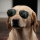 DOG logo