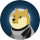 DOGE1 logo