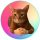 CATWIF logo