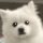 YUKIE logo