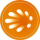 SOLAR logo