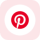 RPINS logo