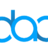 IDV logo