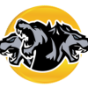 CRBRUS logo