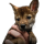 NEKA logo