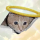 CEICAT logo