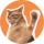 SLAP logo