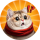 CATS logo