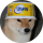 DAMN logo