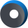 DSS logo