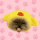 XIAO logo
