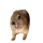 $MAMA logo