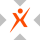 EXELX logo