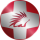 CHFSAFO logo