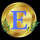 ENVI logo