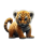 BABYBNBTIG logo