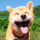 MARU logo