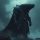 BLACKWHALE logo