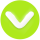 VIVA logo