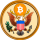 SBR logo