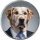 BINK logo