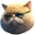 FATCAT logo