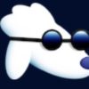 POODL logo
