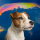 ADOPT logo