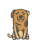 SABAKA INU logo