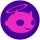 FDUST logo
