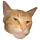 GCAT logo