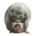 NIKEPIG logo