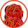 NOODLE logo