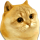 CATGE logo