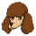 POODL logo