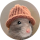 RATWIF logo