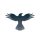 RAVEN logo