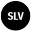 DSLV logo