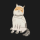 SPACESHIBA logo