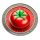 TCOIN logo