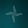 USDN logo