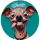 UGLYDOG logo