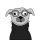 FINK logo