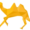 DX logo