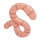 WORM logo