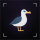 ALBATROSS logo