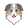 ASS logo