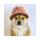 BABYWIF logo