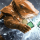 BITCOINWHALE logo